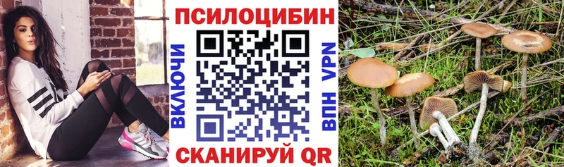 Галлюциногенные грибы Psilocybe  Куровское 